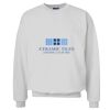 Unisex Ultimate Cotton® Crewneck Sweatshirt Thumbnail