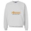 Unisex Ultimate Cotton® Crewneck Sweatshirt Thumbnail